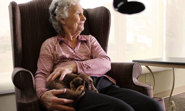 PetCenter Gives Back
