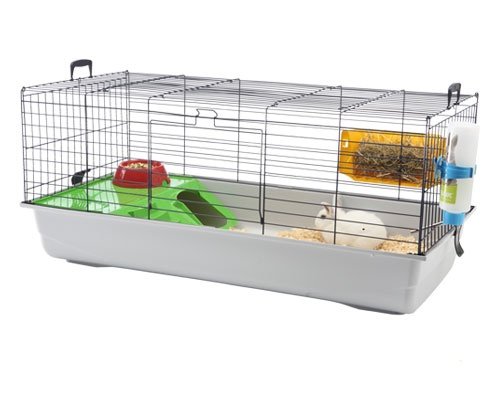 Baby Bunny Take-Home Checklist!