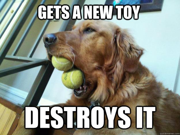 Dog Shaming Funnies, 5 Reasons Why Your Dog Loves to Destroy Their Toys!