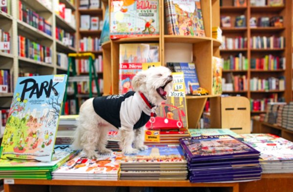 Where to Shop: 27 Stores That Are Pet Friendly